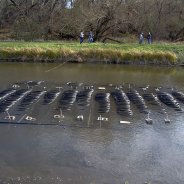 Тепловые Насосы Вода Вода