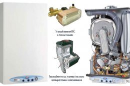 Устройство двухконтурного газового котла